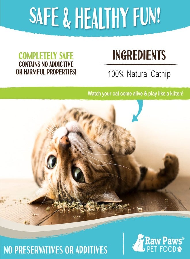 Raw Paws Fresh Catnip for Cats, 1-oz (2 Cups) - Use for Refillable Catnip Toys for Cats - Natural Dried Cat Nip - Image 4