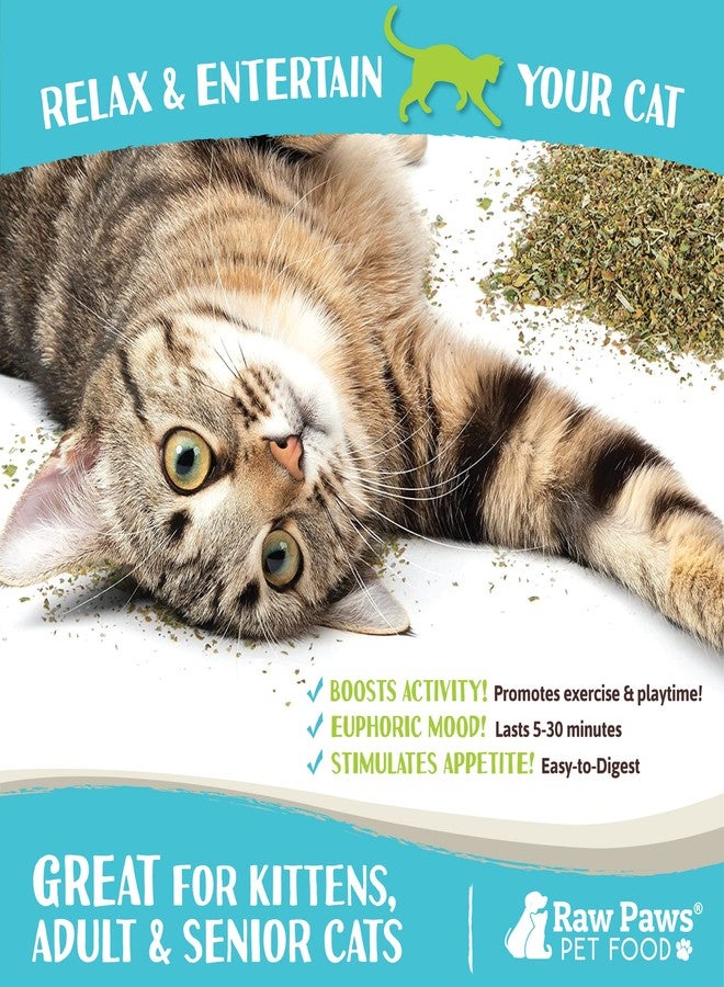 Raw Paws Fresh Catnip for Cats, 1-oz (2 Cups) - Use for Refillable Catnip Toys for Cats - Natural Dried Cat Nip - Image 3