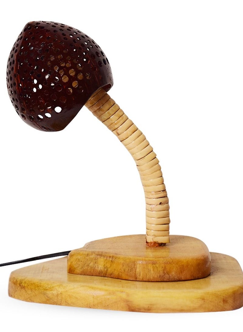 N & H Coconut Shell  Table  Lamp Curved  Shaped design - Image 4