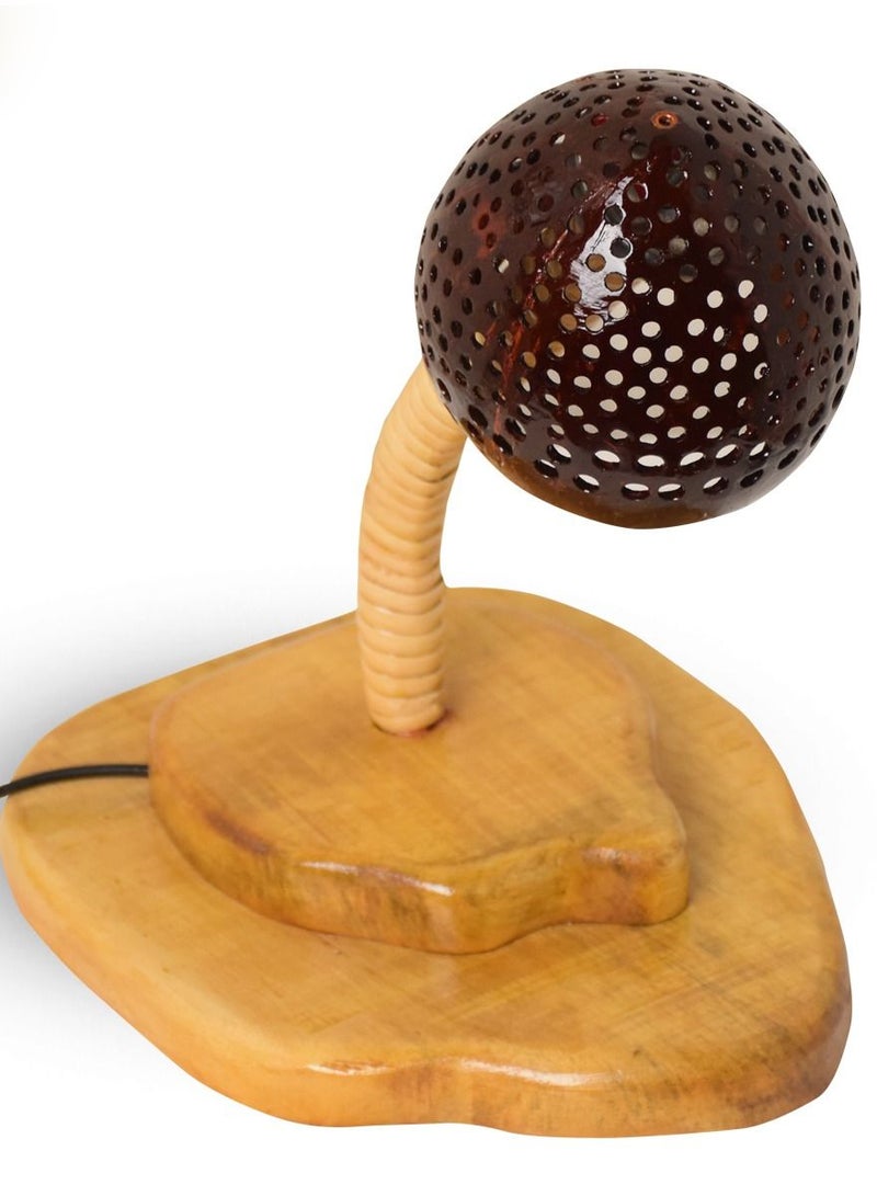 N & H Coconut Shell  Table  Lamp Curved  Shaped design - Image 5