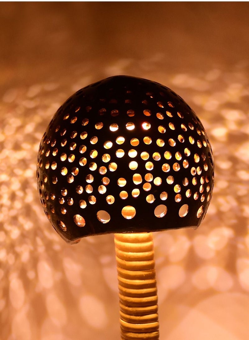 N & H Coconut Shell  Table  Lamp Curved  Shaped design - Image 3