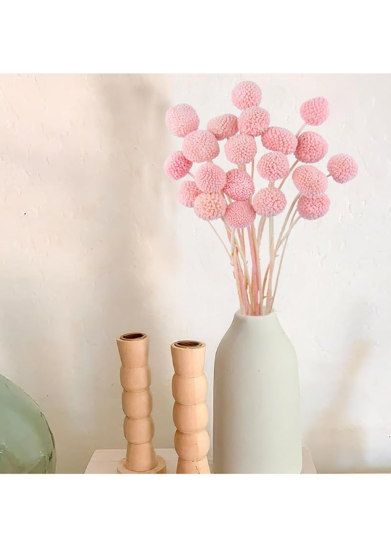KASTWAVE 20 Pcs Dried Craspedia Billy Balls Flowers in Dark Pink - Billy Buttons for Floral Bouquets, Wedding Arrangements, Tall Vase and Boho Home Decor, Ideal for Festivals  - Image 4