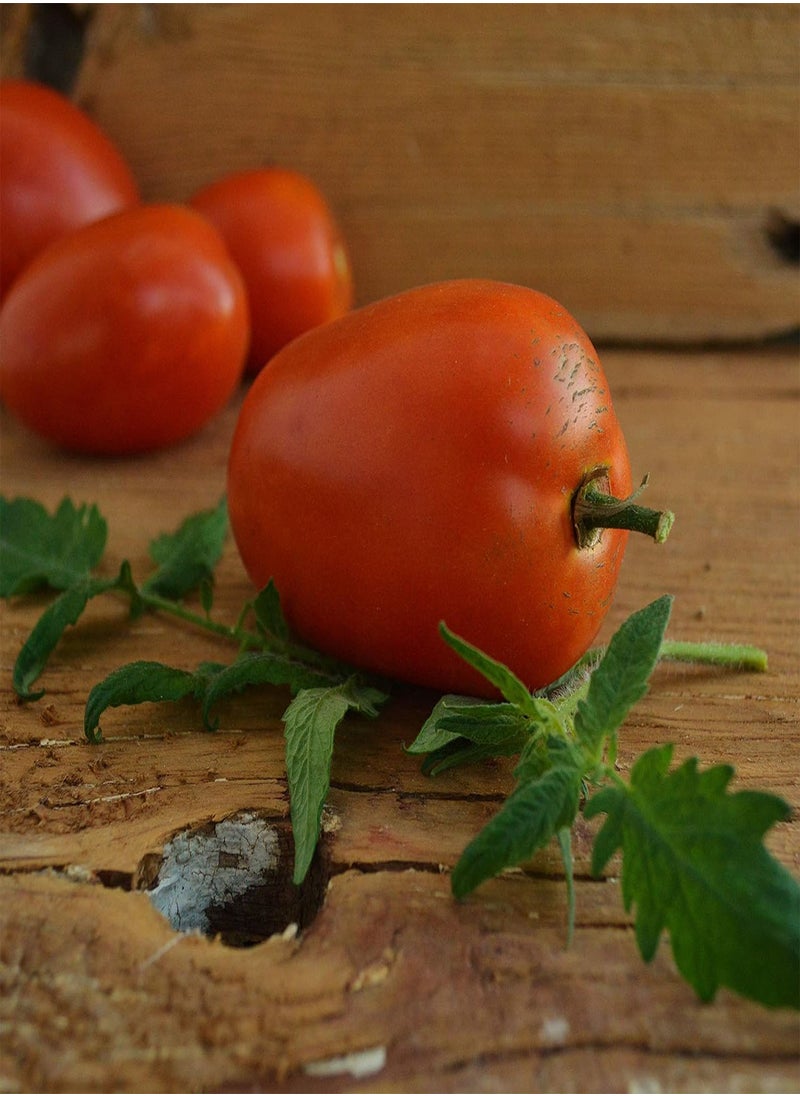 GGOOT Amish Paste Tomato - 50 Seeds - Heirloom Amish Tomato Variety, Super for Sauce & Canning, USA-Grown, Non-GMO Heirloom Tomato Seeds for Planting Outdoors in The Home Garden, Thresh Seed Company  - Image 4