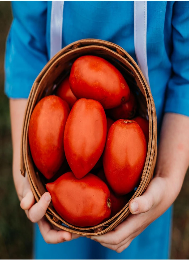 GGOOT Amish Paste Tomato - 50 Seeds - Heirloom Amish Tomato Variety, Super for Sauce & Canning, USA-Grown, Non-GMO Heirloom Tomato Seeds for Planting Outdoors in The Home Garden, Thresh Seed Company  - Image 1