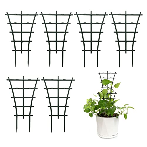 Feitore Plant Trellis Indoor, 6Pcs Stackable Plant Trellis for Climbing Plants Indoor, Small Plant Climbing Trellis for Potted Plants Plastic Climbing Plant Support Trellis for Houseplant Hoya Pothos - Image 1