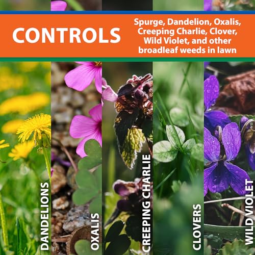 Monterey Spurge Power Bundled with Measuring Spoon - Post Emergent Selective Herbicide Concentrate - 1 Pint - Image 2