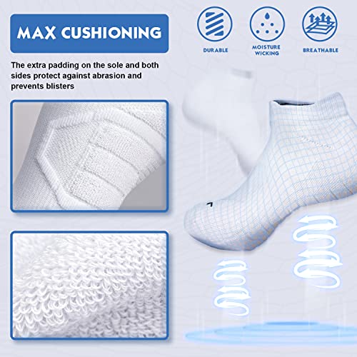 Hylaea Unisex No Show Athletic Running Socks Cushion Compression Low Cut Sports Socks for Gym Workout Tennis Walking Hiking Golf Cushion No Blister Moisture Wicking Tab X-Large - Image 5