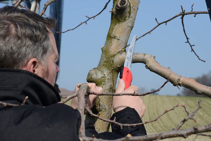 Felco Folding Saw (F 600) - Classic Tree Pruning Saw with Pull-Stroke Action, Red - Image 3