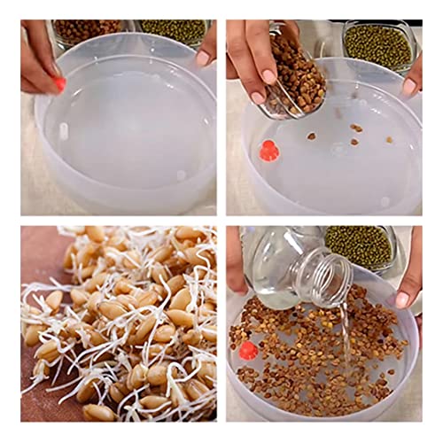 Suzec Plastic 4 Compartment Sprout Maker, White - Image 5