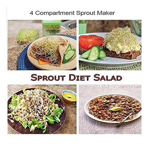 Suzec Plastic 4 Compartment Sprout Maker, White - Image 4