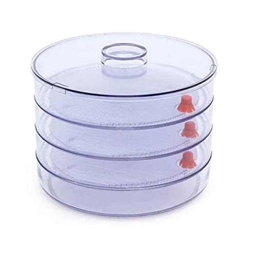 Suzec Plastic 4 Compartment Sprout Maker, White - Image 1