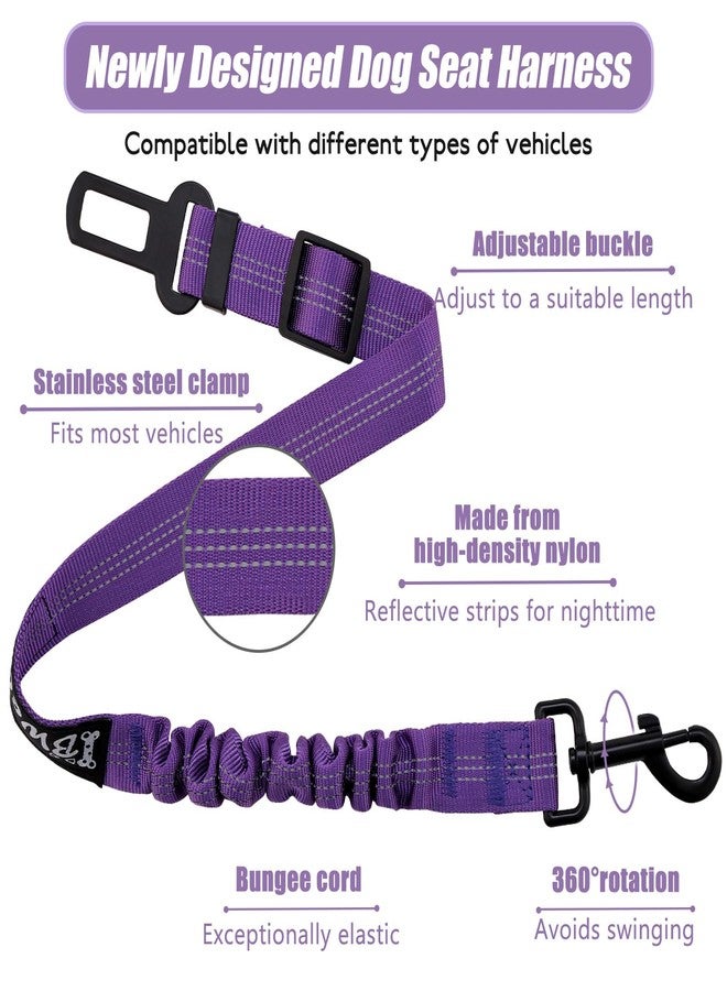 IBWell Dog Seat Belt,3 Piece Set Retractable Dog Car Harness Adjustable Dog Seat Belt for Vehicle Nylon Pet Safety Seat Belts Heavy Duty & Elastic (Black & Purple) - Image 3