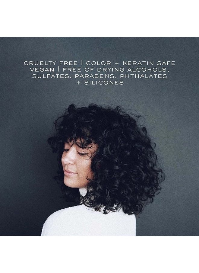 Kristin Ess - Hair Ultra Hydrating Curl Leave-In Cream Conditioner for Curly Hair with Frizz Control, Humidity Shielding, Vegan, Color + Keratin Safe, 8.45 fl oz (Pack of 1) - Image 1