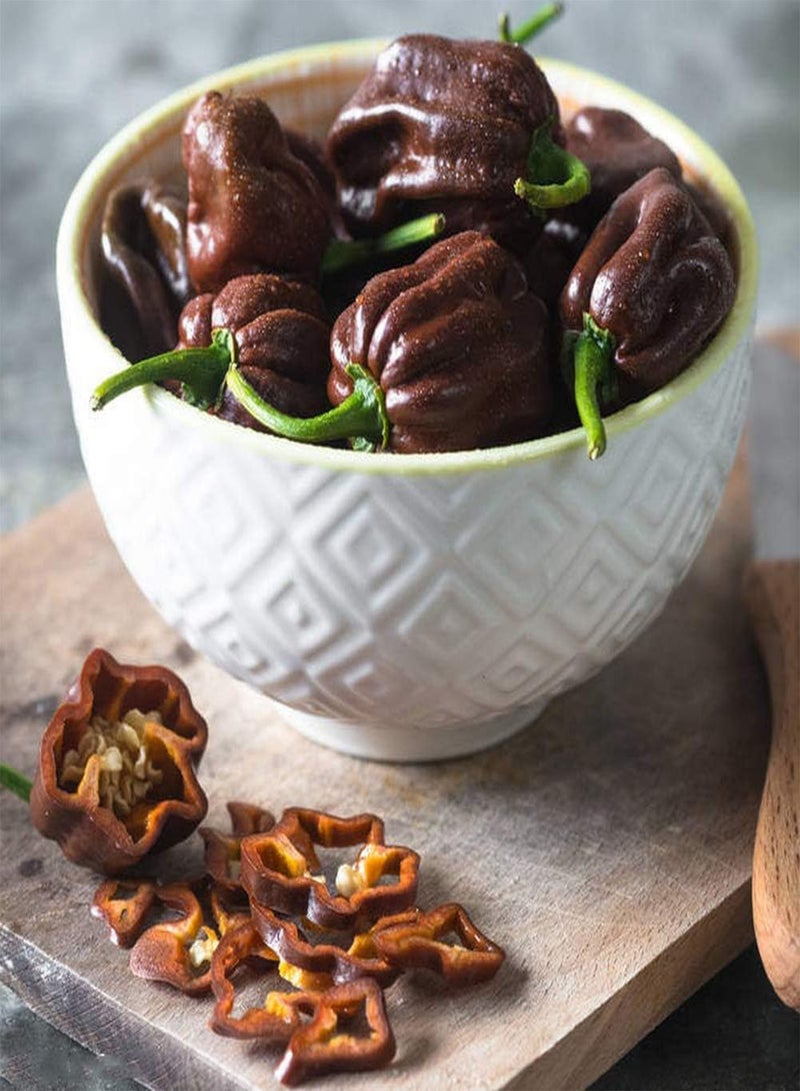 GGOOT 100pcs Pepper Seeds for Planting Annual Green Heirloom Non-GMO Vegetables Home Gardening Courtyard Garden Balcony Necessary Landscape - Image 3