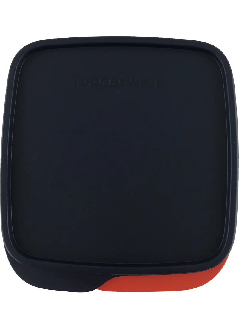 Tupperware Lunch Box with Compartments 550ml