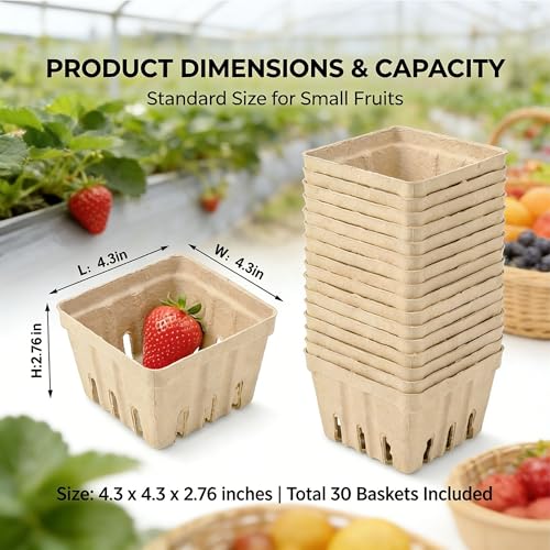 QZV 30 Pack Natural Pulp Fiber Berry BasketSmall Molded Produce Vented Basket Kitchen Supplies for Strawberry Blueberry Raspberry Fruit Tray for Fruit Vegetable Farmer Market Grocery Small - Image 3