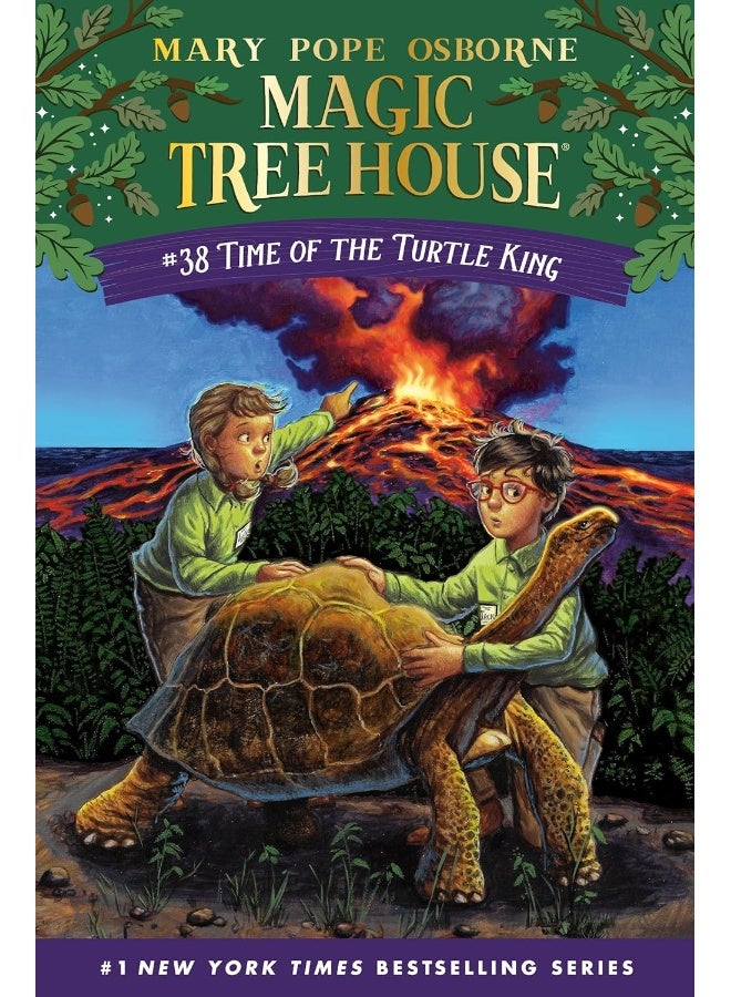 Random House Books for Young Readers Time of the Turtle King - Image 1