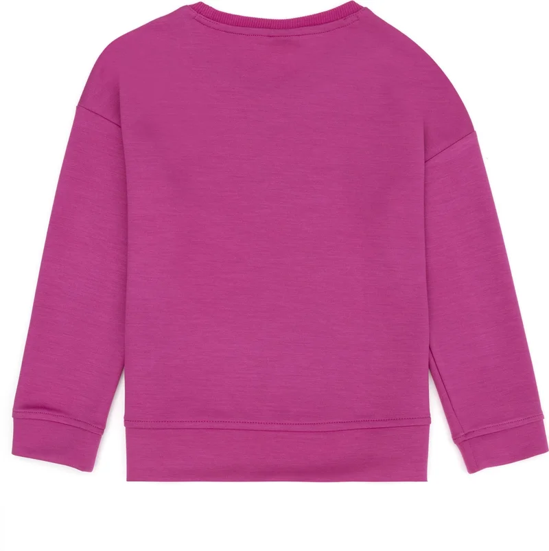 U.S. Polo Assn. Girls Violet Sweatshirt 50272431-VR037