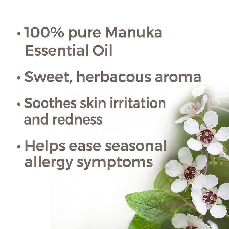Plant Therapy Manuka Essential Oil 10 mL (1/3 oz) 100% Pure, Undiluted, Therapeutic Grade - Image 2