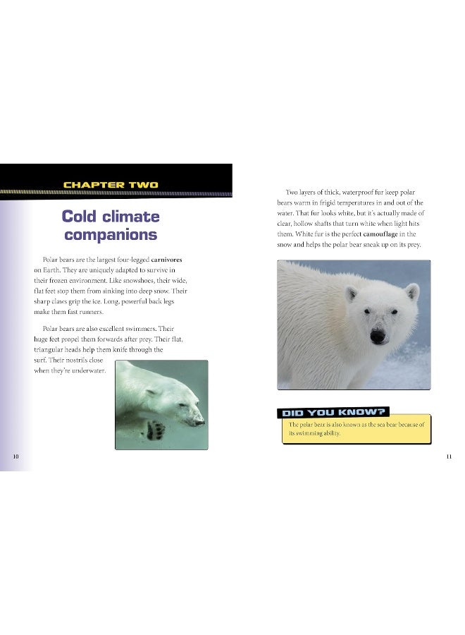 Polar Bears and Arctic Foxes Team Up!  - Image 4