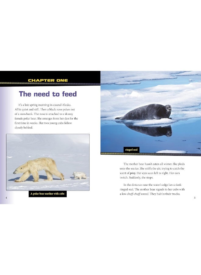 Polar Bears and Arctic Foxes Team Up!  - Image 3