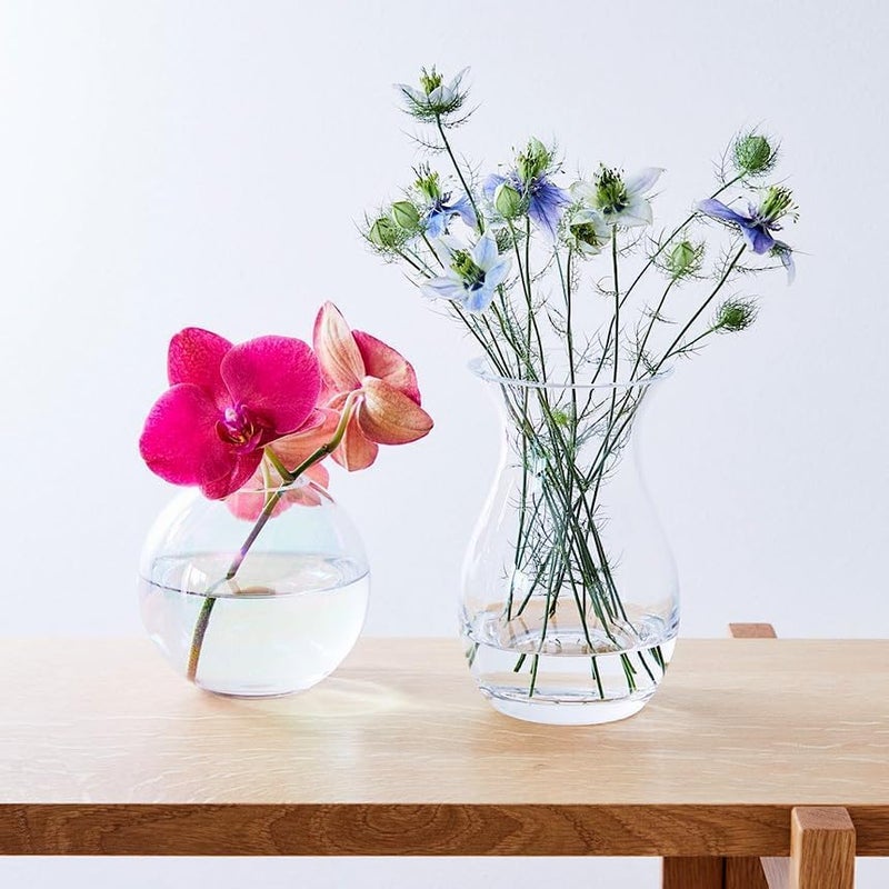 LSA Clear Glass Flower Garden Bouquet Vase H17.5cm, Elegant Transparent Decorative Vase - Image 5