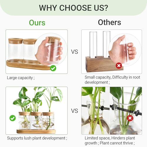 Dahey Plant Propagation Terrarium Desktop Glass Planter Station Water Planting Glass Vase with Lid and Wooden Stand for Propagating Hydroponic Plants Centerpiece Office Home Garden Decor, 3 Pcs - Image 4