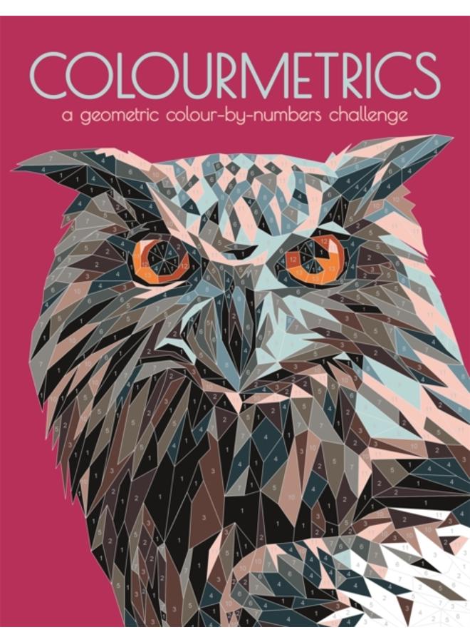 Colourmetrics : A Geometric Colour by Numbers Challenge