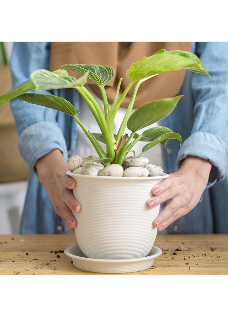 vsell24 20 كجم من صخور النهر البيضاء الكبيرة جدًا للمناظر الطبيعية، حصى طبيعية مقاس 2-3 بوصات للنباتات الداخلية، أحجار زخرفية مصقولة عالية الجودة للحديقة، حشو مزهرية DIY لأحواض الأسماك وأحواض السمك - Image 4