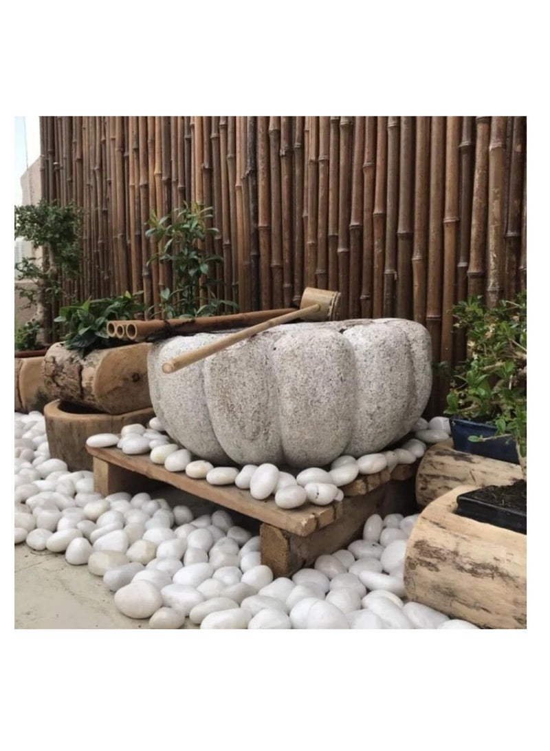 vsell24 20 كجم من صخور النهر البيضاء الكبيرة جدًا للمناظر الطبيعية، حصى طبيعية مقاس 2-3 بوصات للنباتات الداخلية، أحجار زخرفية مصقولة عالية الجودة للحديقة، حشو مزهرية DIY لأحواض الأسماك وأحواض السمك - Image 3