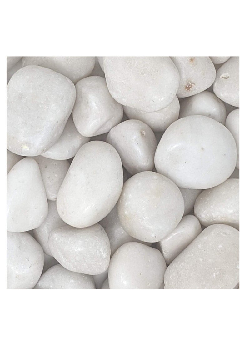 vsell24 20 كجم من صخور النهر البيضاء الكبيرة جدًا للمناظر الطبيعية، حصى طبيعية مقاس 2-3 بوصات للنباتات الداخلية، أحجار زخرفية مصقولة عالية الجودة للحديقة، حشو مزهرية DIY لأحواض الأسماك وأحواض السمك - Image 2