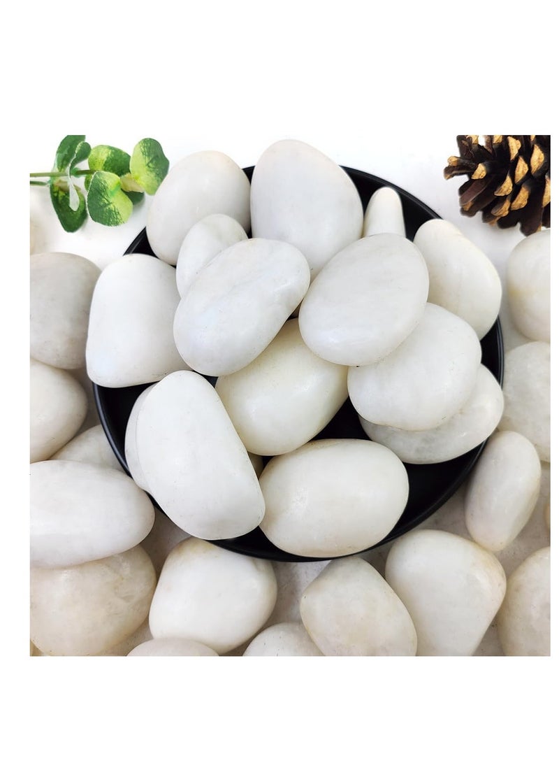 vsell24 20 كجم من صخور النهر البيضاء الكبيرة جدًا للمناظر الطبيعية، حصى طبيعية مقاس 2-3 بوصات للنباتات الداخلية، أحجار زخرفية مصقولة عالية الجودة للحديقة، حشو مزهرية DIY لأحواض الأسماك وأحواض السمك - Image 1