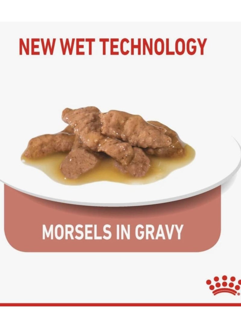 رويال كانين هيلث نيوترشن - طعام قطط رطب داخلي - 85 جم (عبوة من 12) - Image 3