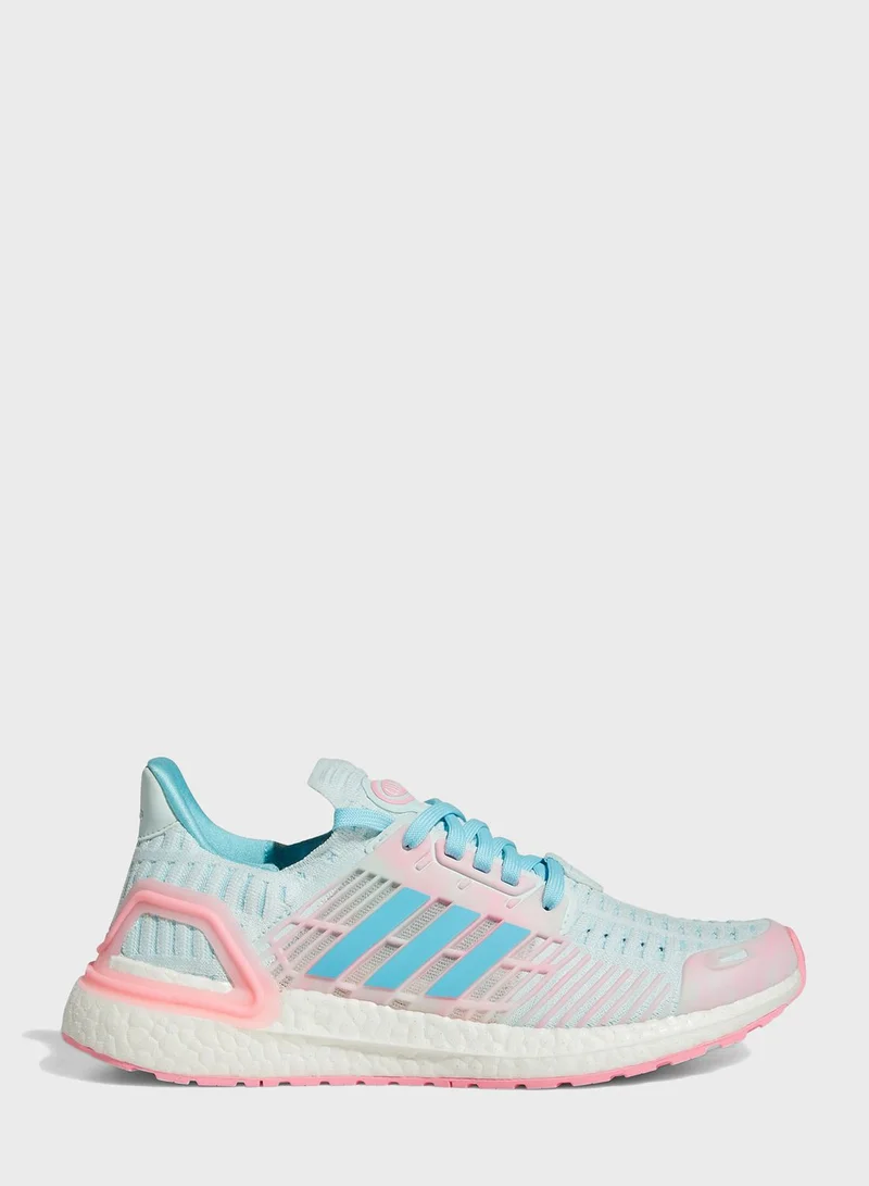 Adidas Ultraboost Cc_1 Dna