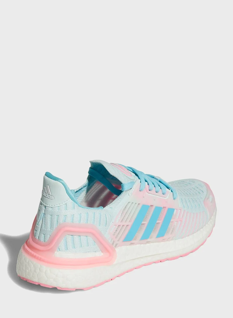 Adidas Ultraboost Cc_1 Dna