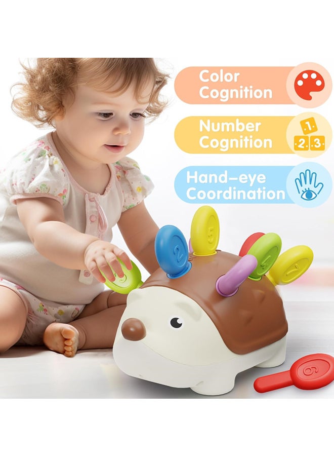 Generic - Fine Motor Toys for Toddlers 1-3, Baby Hedgehog Montessorri Learning Set, Educational Counting Sorter Toy, Development Infant Gifts 9 12 18 Month 1 2 3 Year Old Boys Girls Kids Babies - Image 1