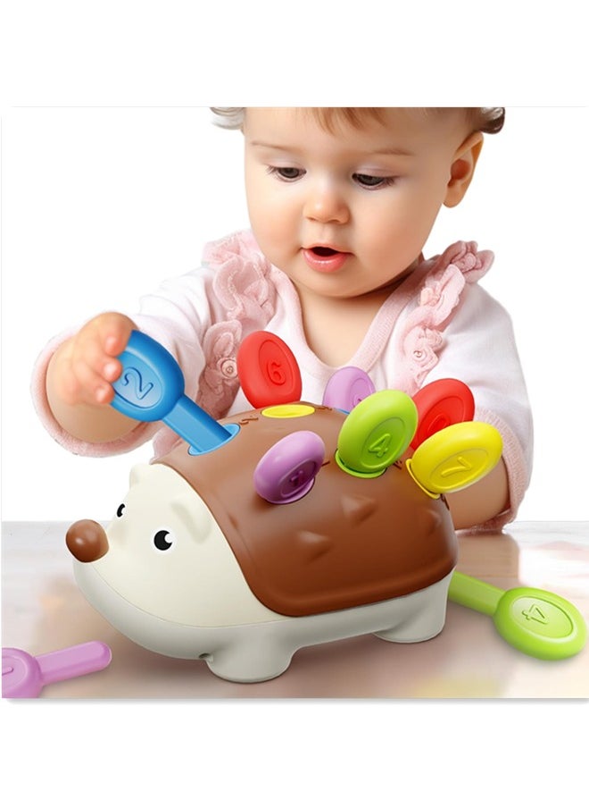 Generic - Fine Motor Toys for Toddlers 1-3, Baby Hedgehog Montessorri Learning Set, Educational Counting Sorter Toy, Development Infant Gifts 9 12 18 Month 1 2 3 Year Old Boys Girls Kids Babies - Image 1