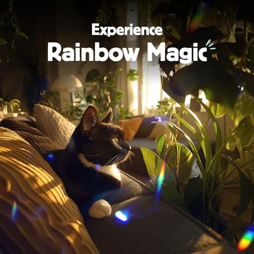 Kikkerland Solar Powered Rainbow Maker – Prism Suncatcher, Fun Home Window Decor – Unique Gift for Christmas & Birthdays – Single Crystal - Image 5