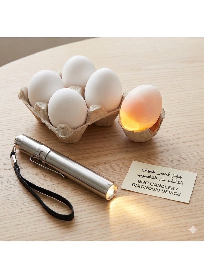 جهاز فحص البيض LED الاحترافي، كاشف أجنة الدواجن عالي الدقة، أداة اختبار إضاءة باردة محمولة (فضي) - Image 2