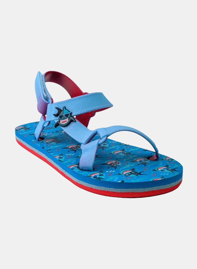 CUBS Boys Rubber Sandal – Baby Blue with Funny Shark Print - Image 3
