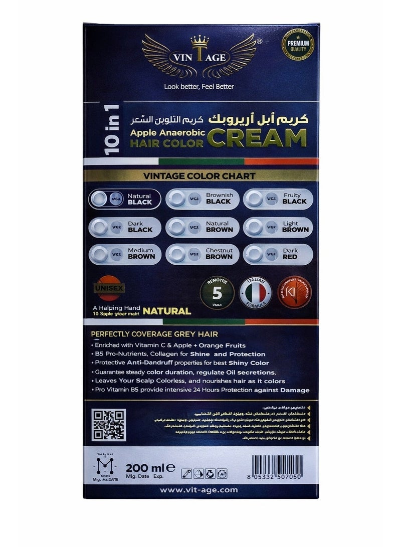 فينتاج فينتاج كريم ابل اريروبك لتلوين الشعر 10×1اسود طبيعي200جرام - Image 2