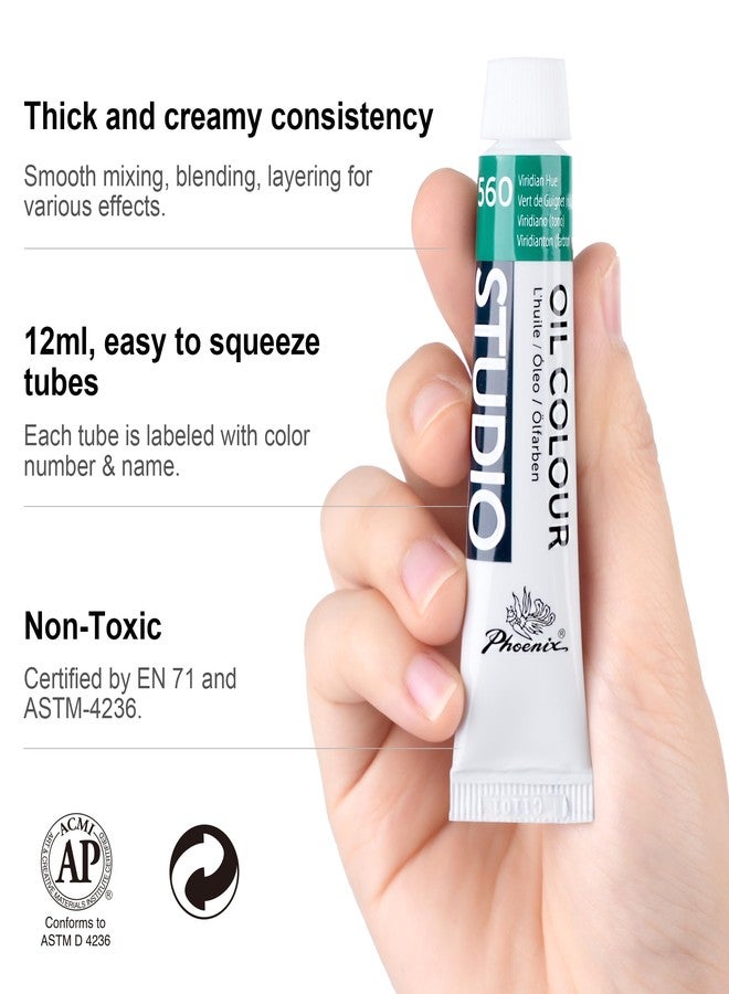 PHOENIX Oil Color Paint Set Of 24 Tubes X 12 Ml - Non-Toxic Paints For Kids, Students, Beginners & Artists - Image 3