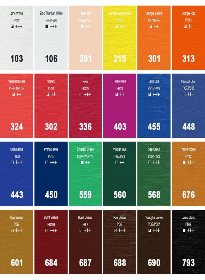 PHOENIX Oil Color Paint Set Of 24 Tubes X 12 Ml - Non-Toxic Paints For Kids, Students, Beginners & Artists - Image 2