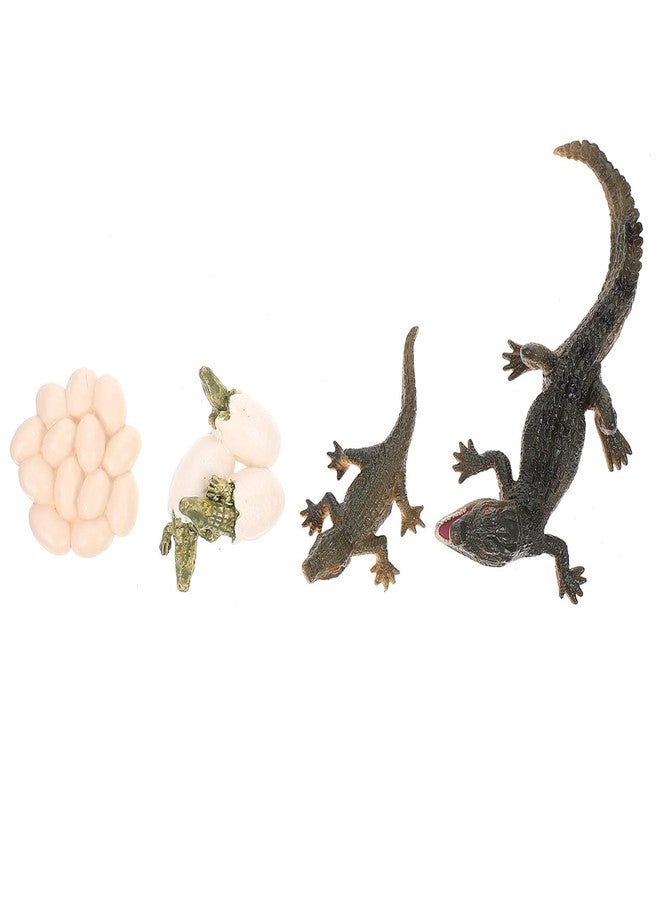 ARTIBETTER 1 Set for Realistic Biological Ornament Wild Early Crocodile Kid Kids Action Toy Themed Education Wildlife Educational Figurine Figure Growth Figures Favor - Image 1