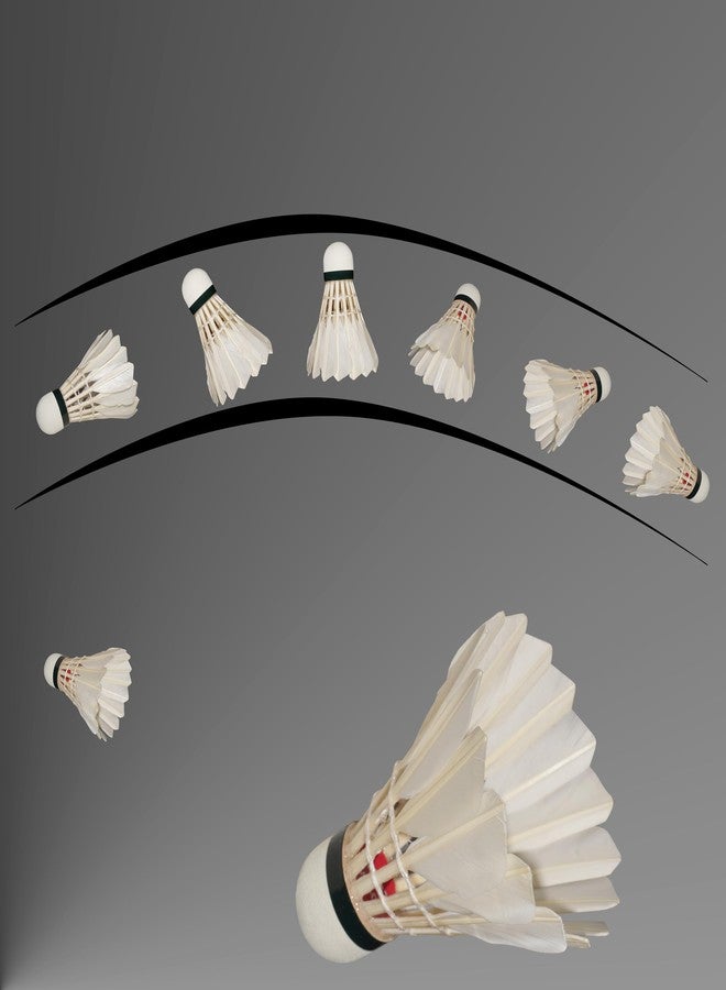 Vinex Badminton Duck Feather Shuttlecock - Victorie, 1 Pack of 12 pcs, Duck Feather Shuttlecock - Image 3