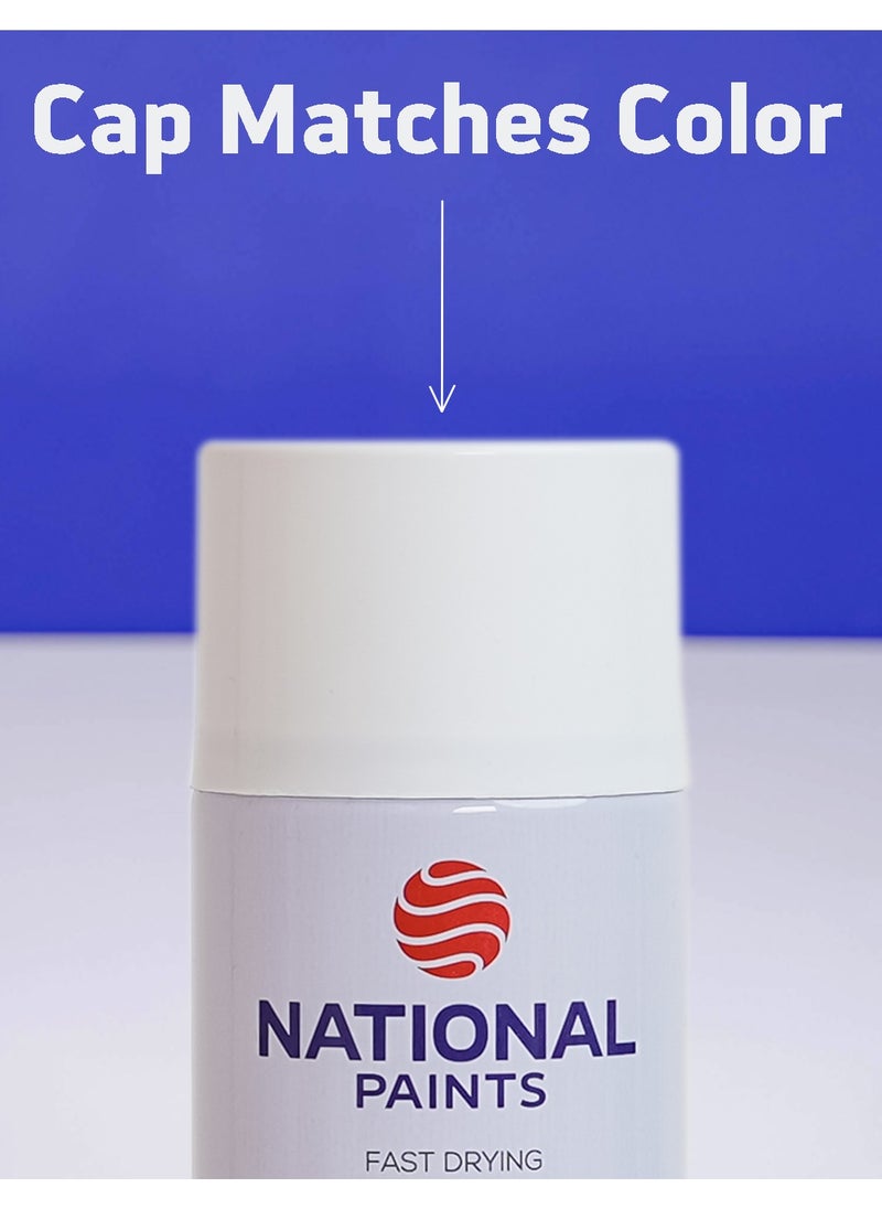 NATIONAL PAINTS - Fast Drying Acrylic Spray Paint - BLACK MATT 202 - Image 1