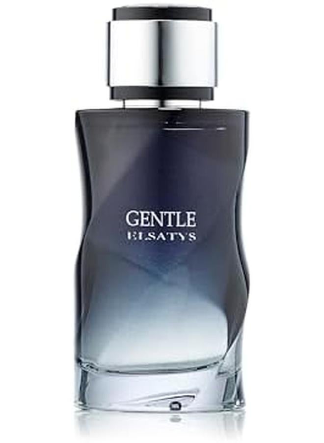 ريان تراديشن عطر جنتل الساتيس أو دو بارفان 100 مل - Image 2