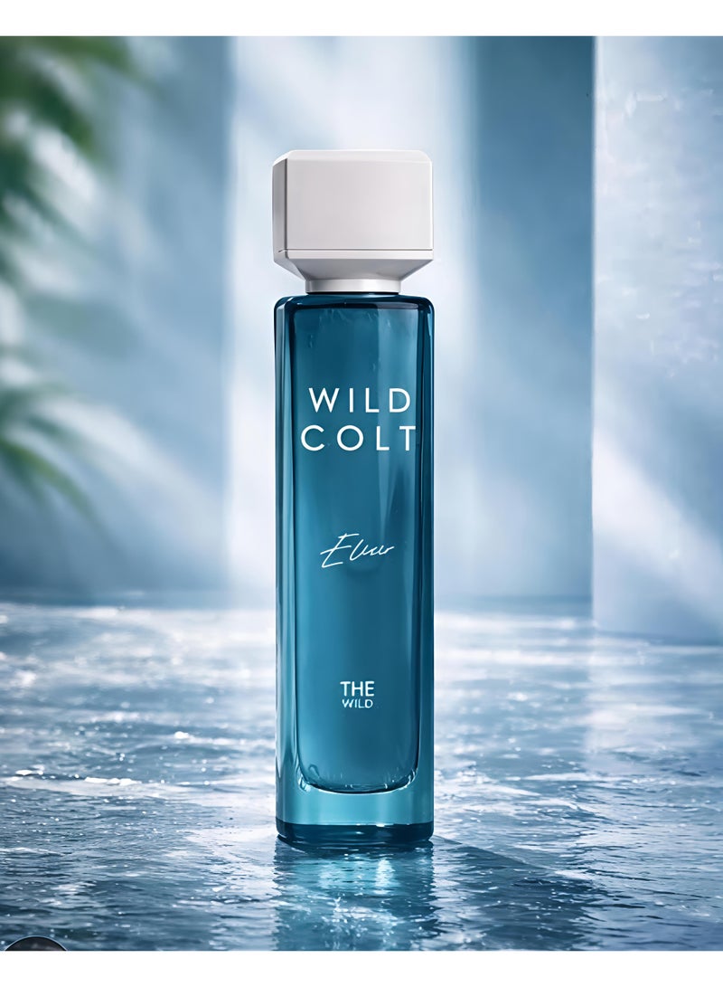 Assaf Wild Colt Elixir Eau De Parfum 200ML – Unisex | Fresh Citrus, Woody & Musky Fragrance - Image 2