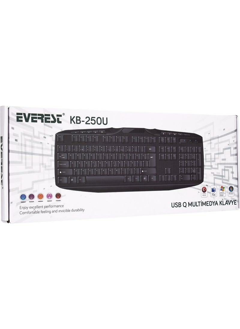 Everest Kb-250U Black Usb Multi Media Q Keyboard  - Image 5