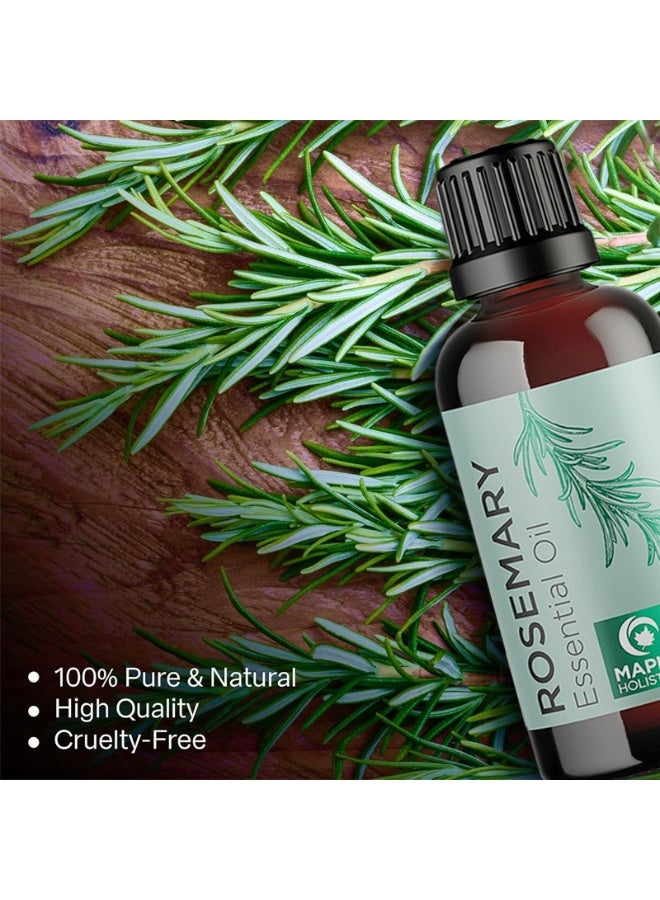 Rosemary Smoothing, Nourishing, and Beautiful Rosemary Essential Oil 30ml - Image 3